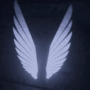 Luz de retrovisor asas de anjo universal | Velox Motors